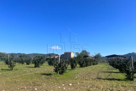 Complesso residenziale rurale