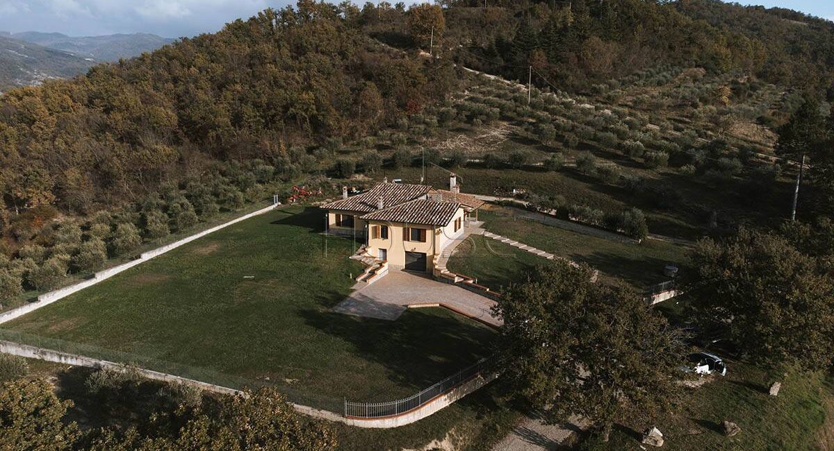 Villa singola di 470mq con uliveto
