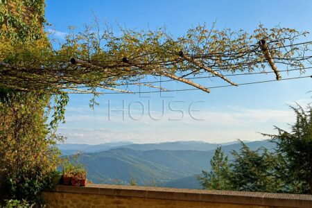 Casa singola con giardino